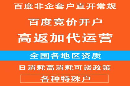 百度广告投放策略优化的经典案例